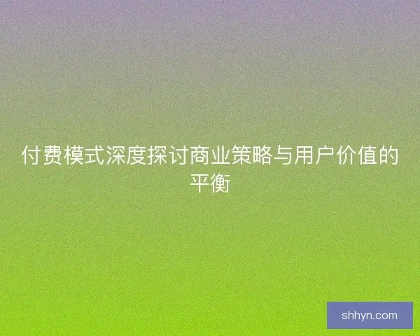 付费模式深度探讨商业策略与用户价值的平衡
