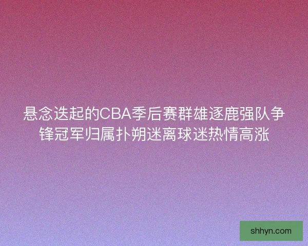 悬念迭起的CBA季后赛群雄逐鹿强队争锋冠军归属扑朔迷离球迷热情高涨
